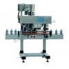 全自動(dòng)直列式旋蓋機(jī)